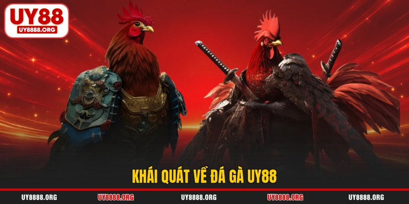 Khái quát về đá gà UY88